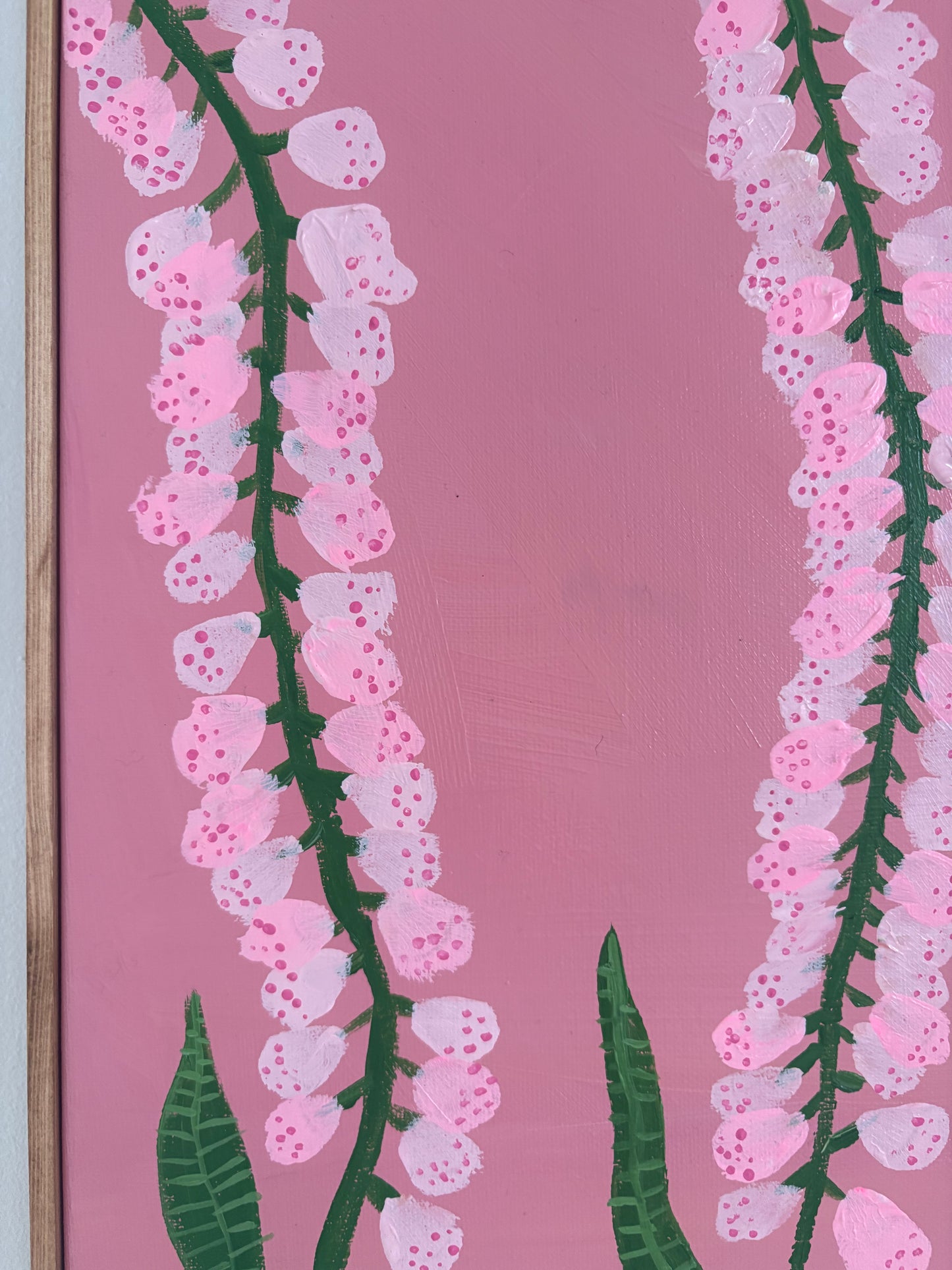 Pink Foxglove.