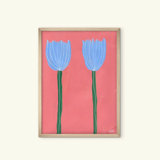 Blue tulips on pink pink.