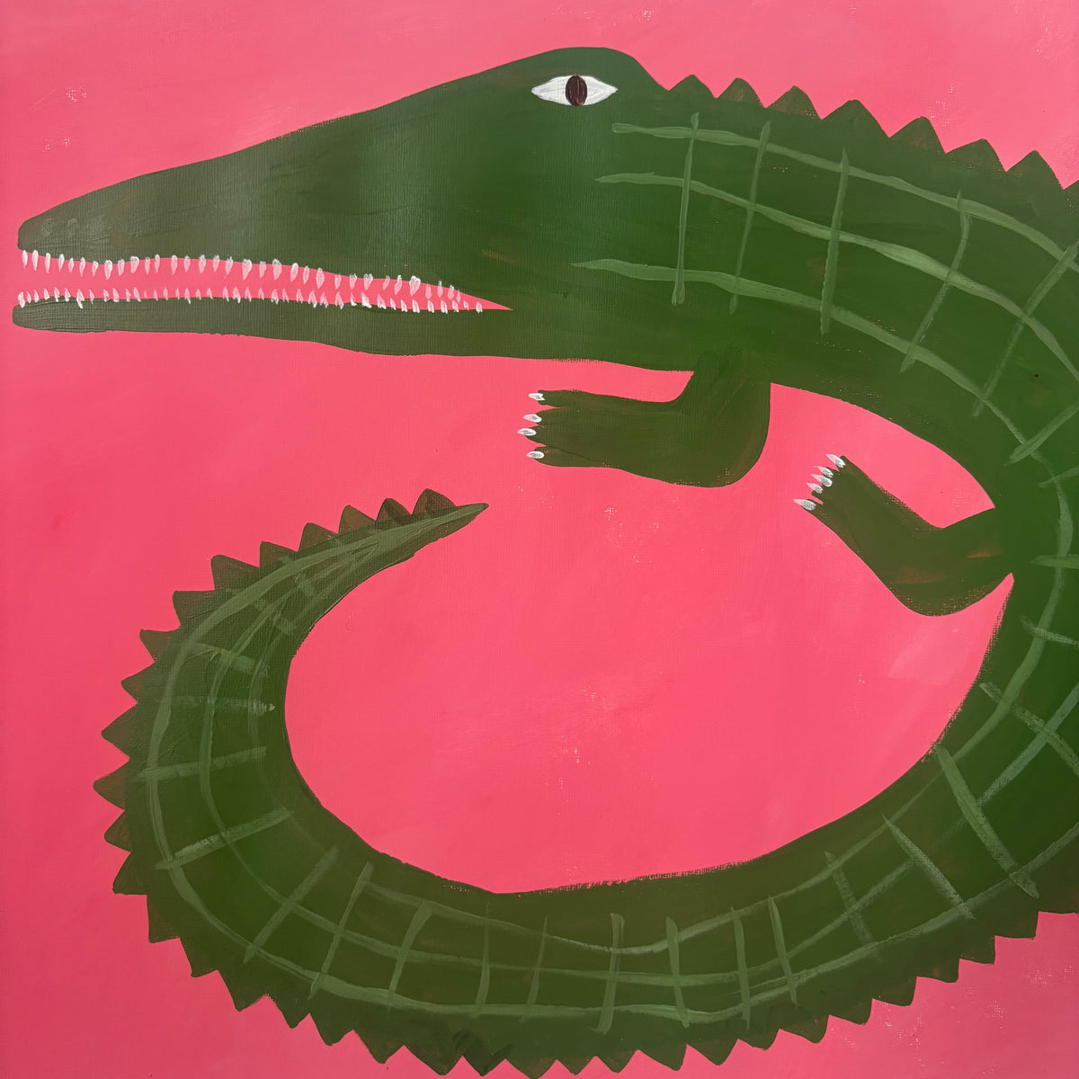 Crocodile on pink.