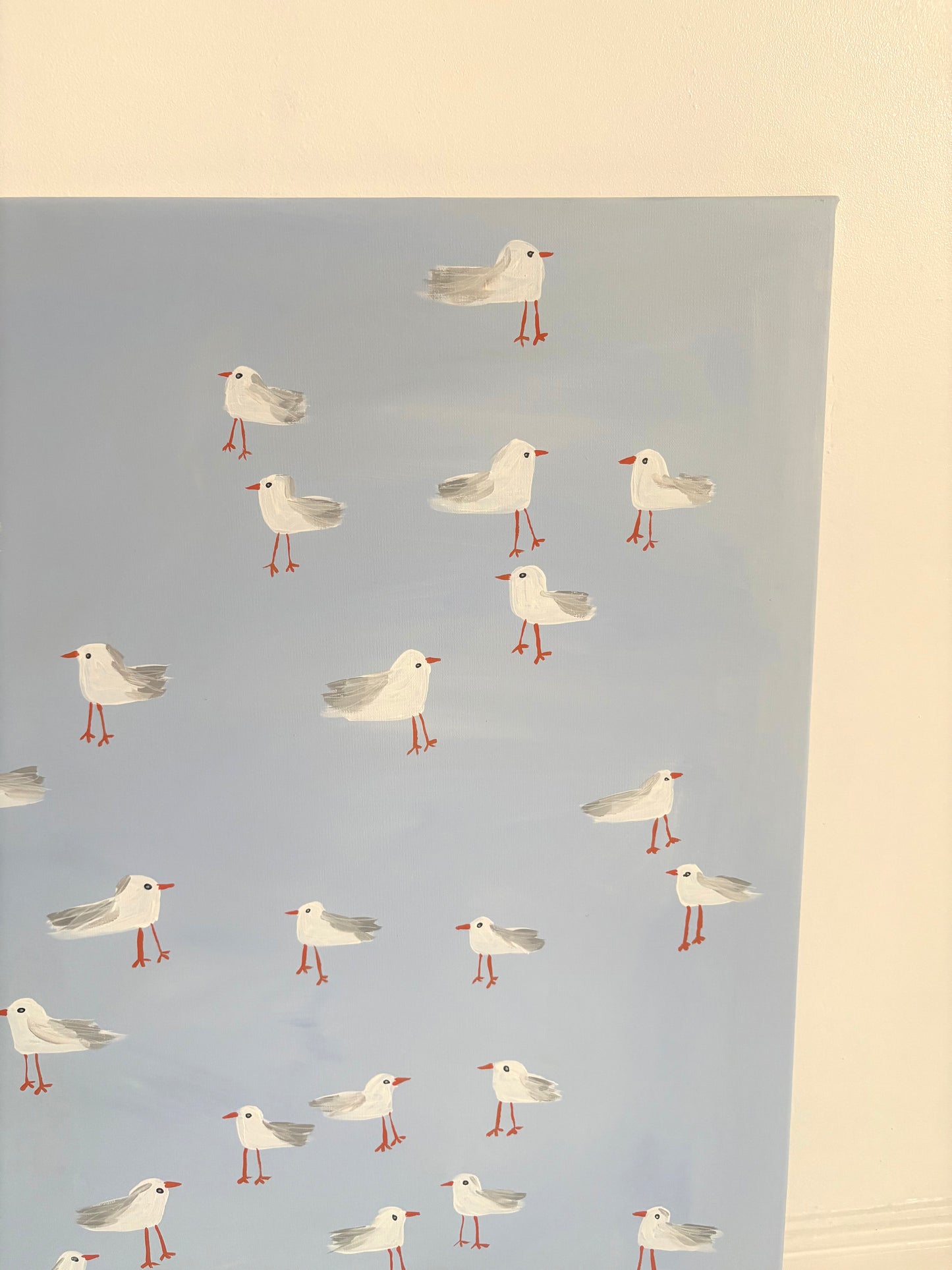 A squabble of seagulls