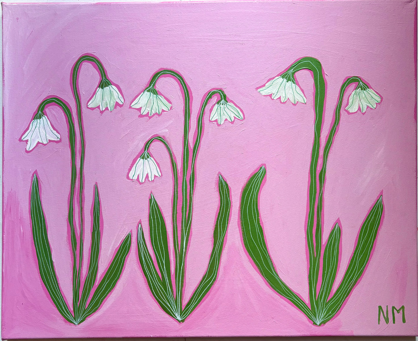 Snowdrops on pink.