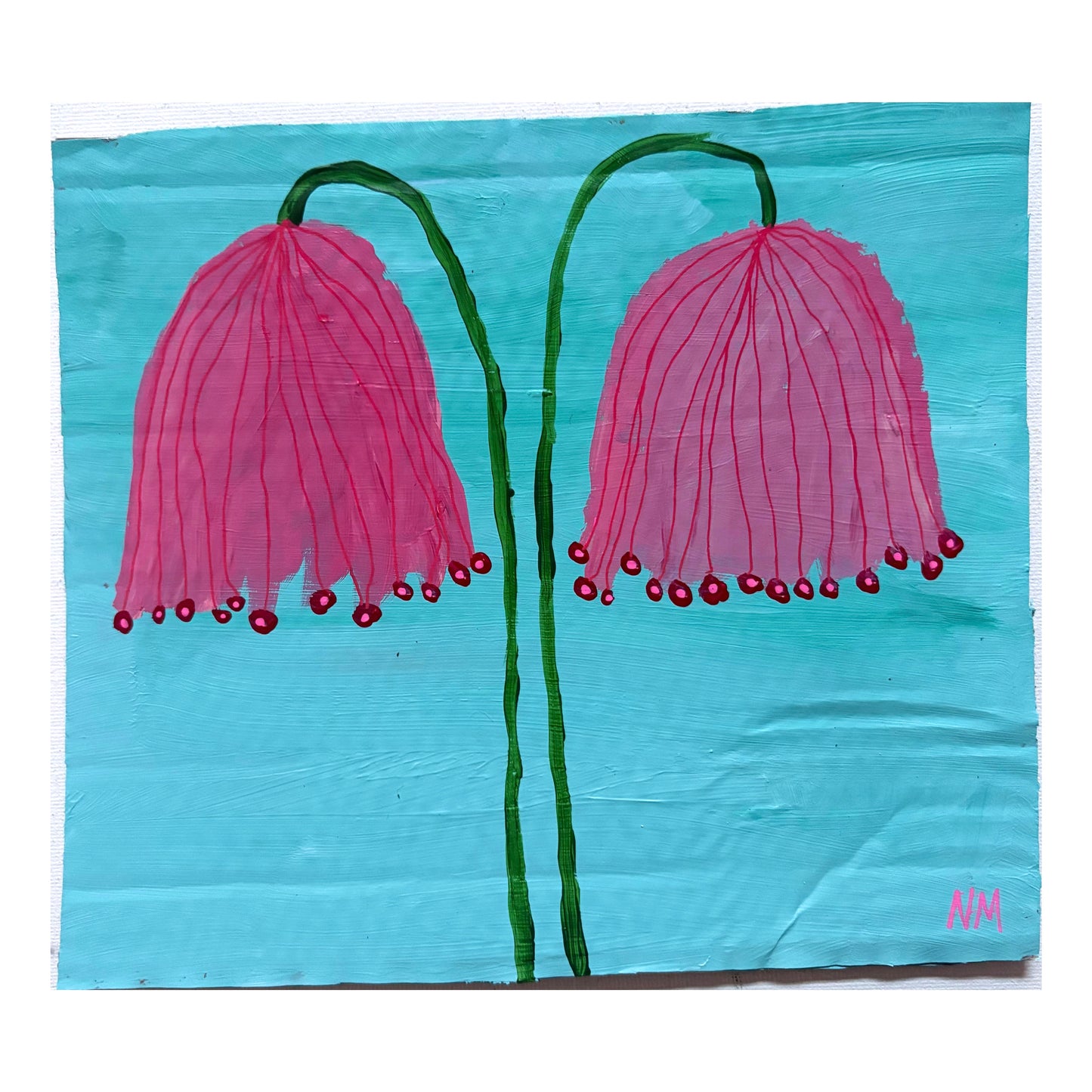 Pink flowers.