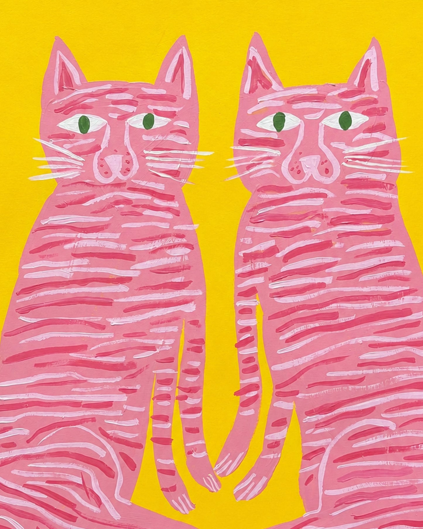 Pink tabby cats.