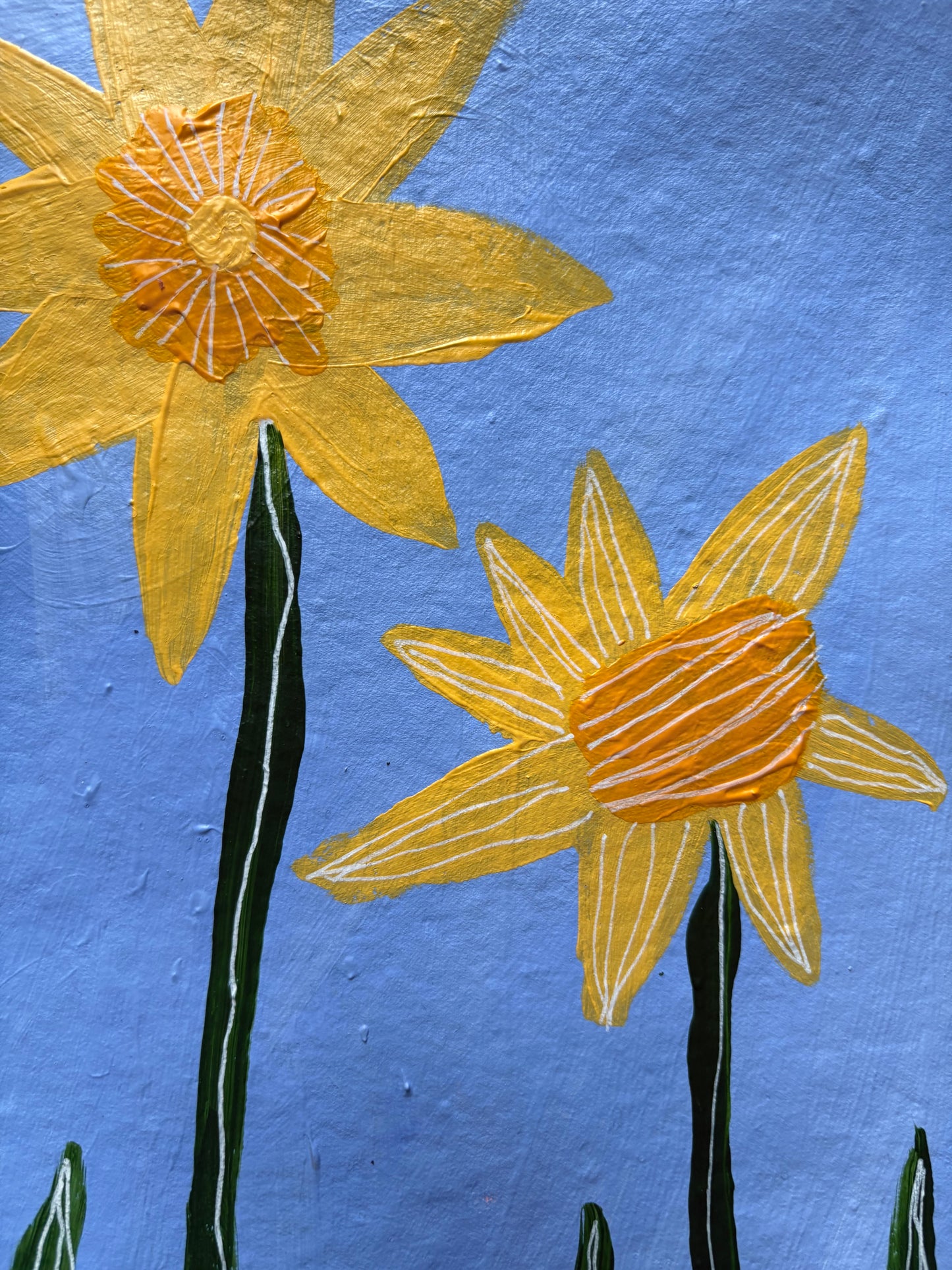 Daffodils.