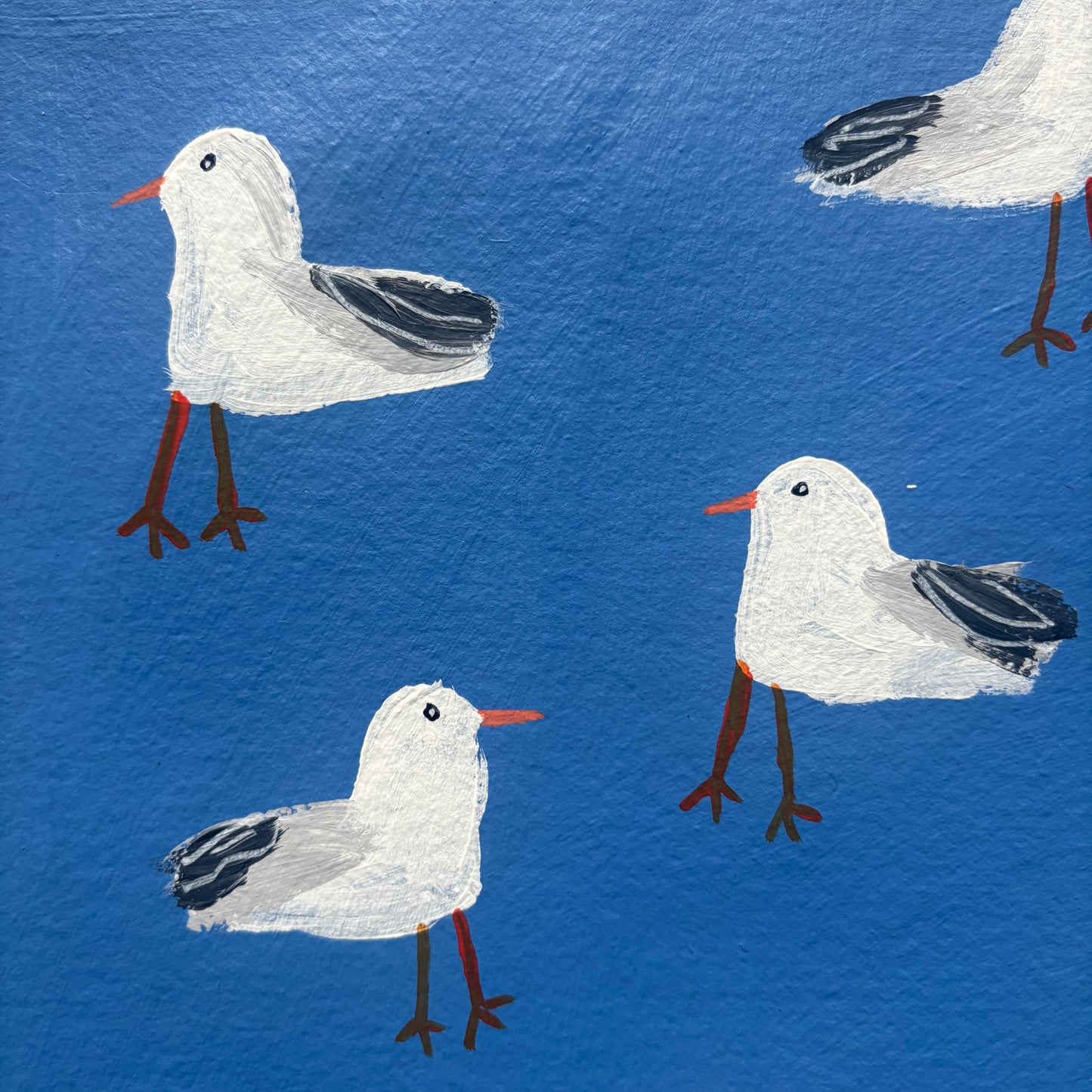 Seagull friends.