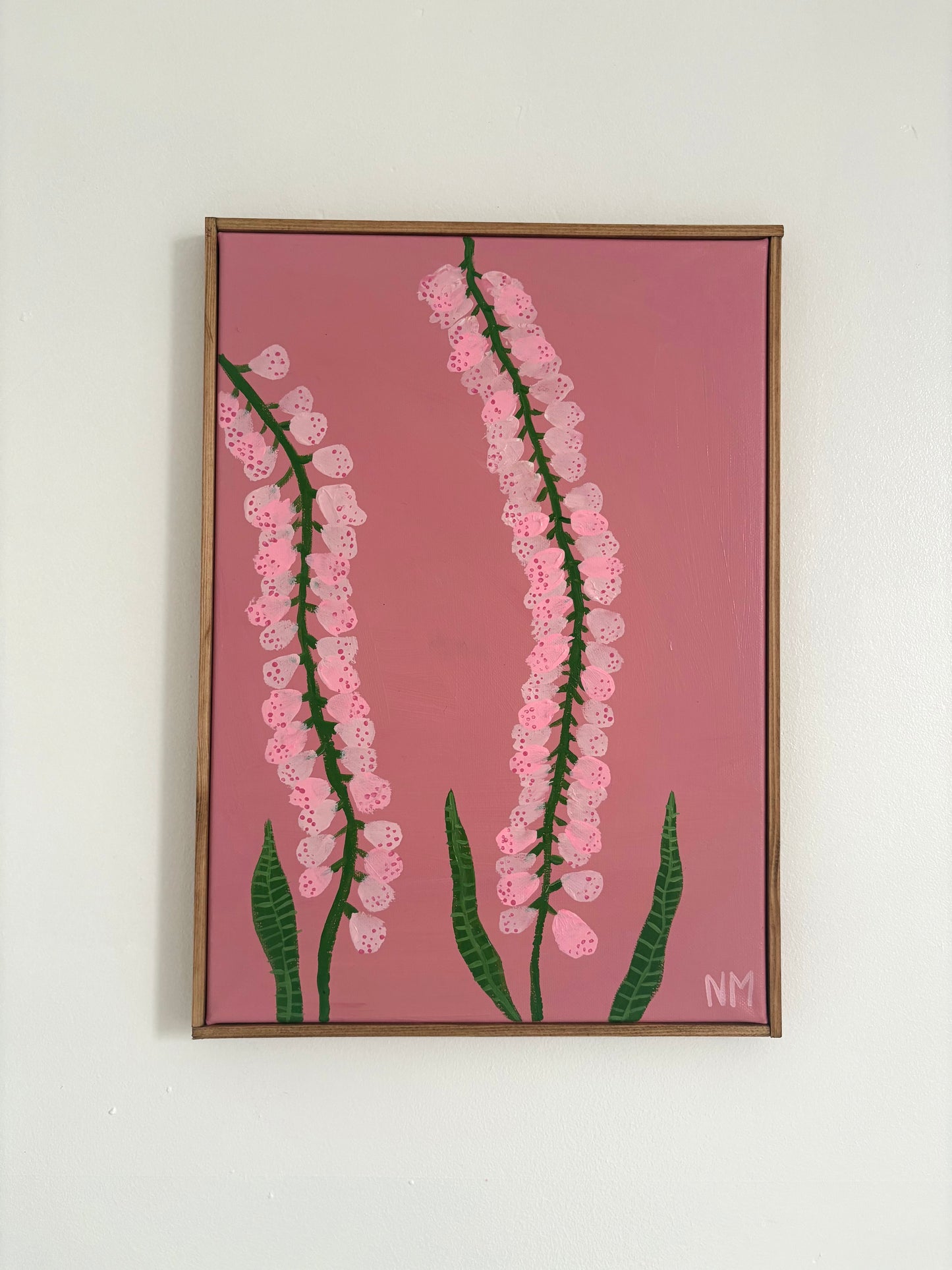 Pink Foxglove.