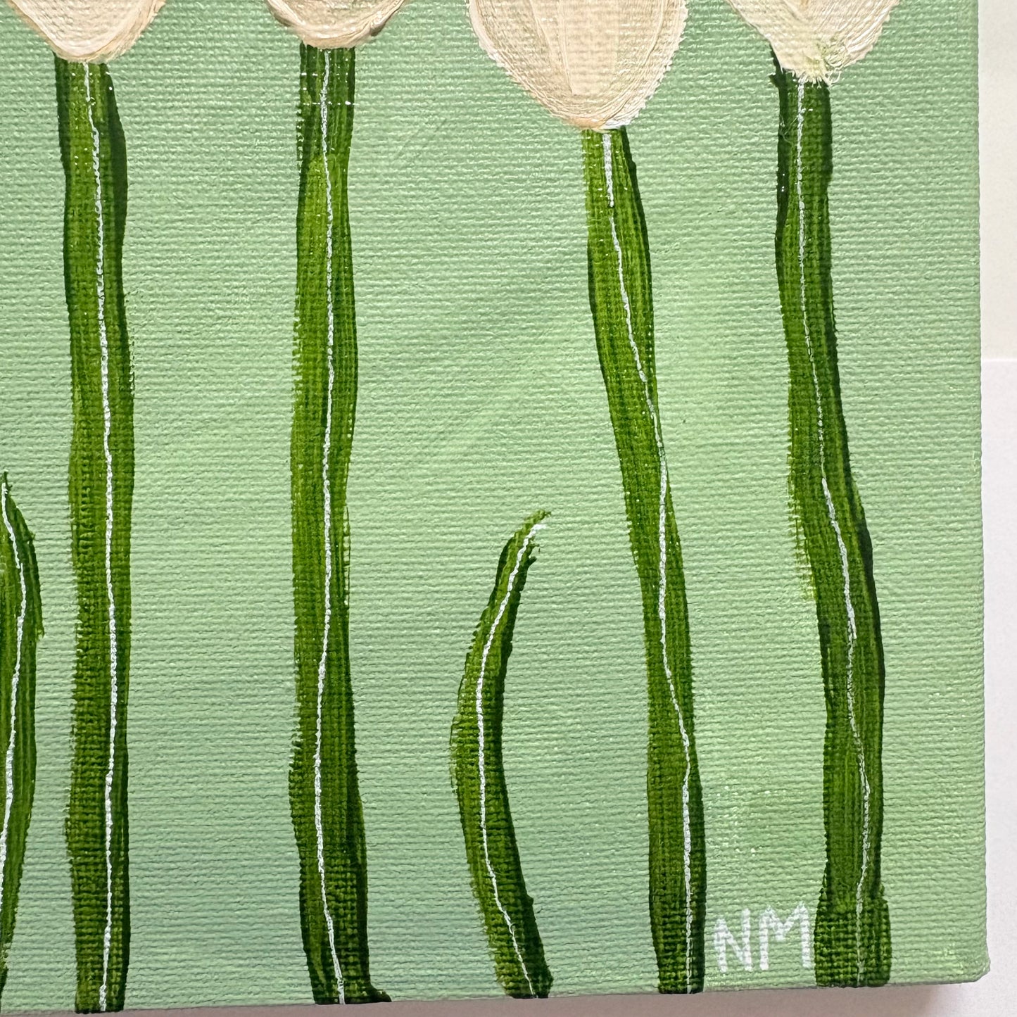 White tulips.