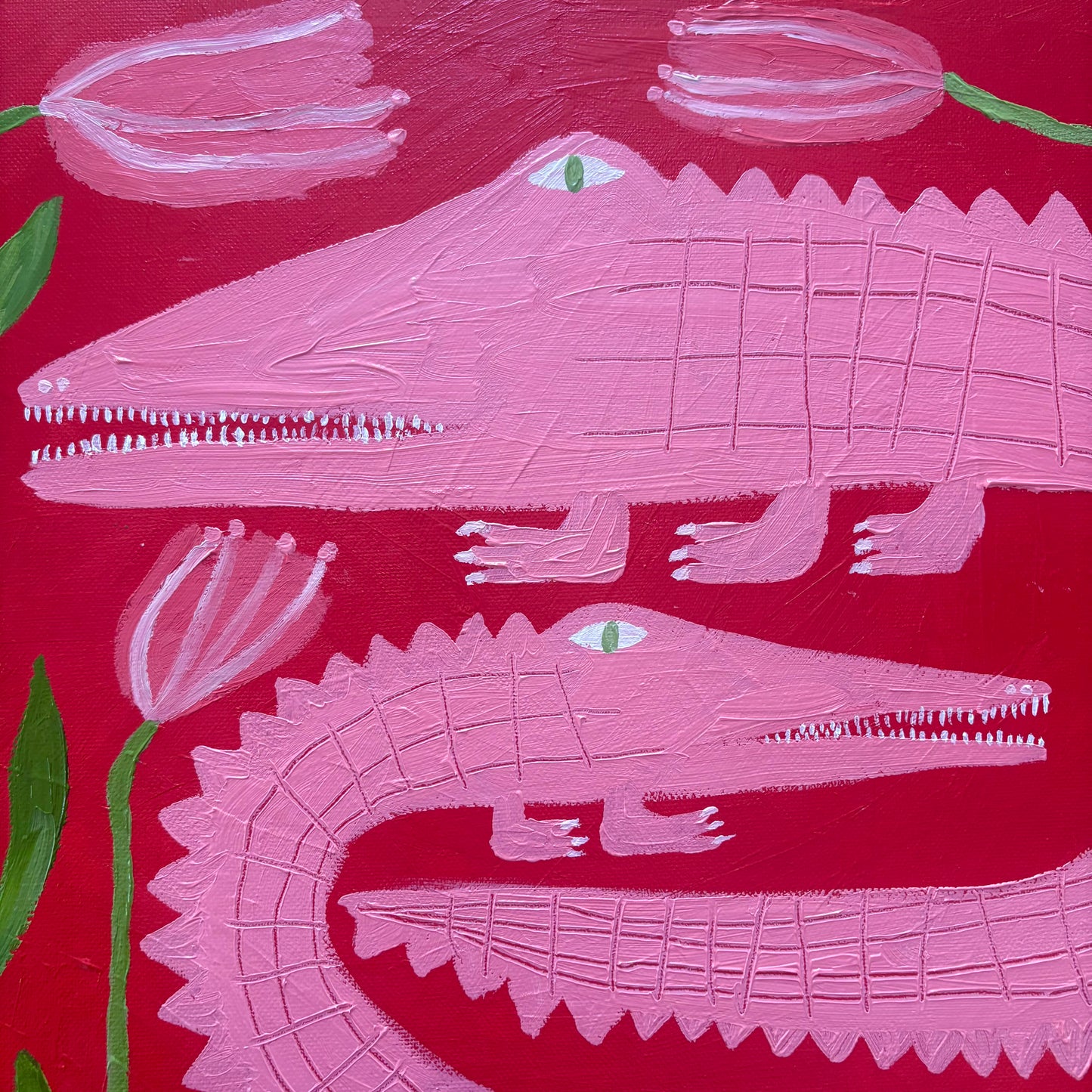 Pink crocodiles in bloom.