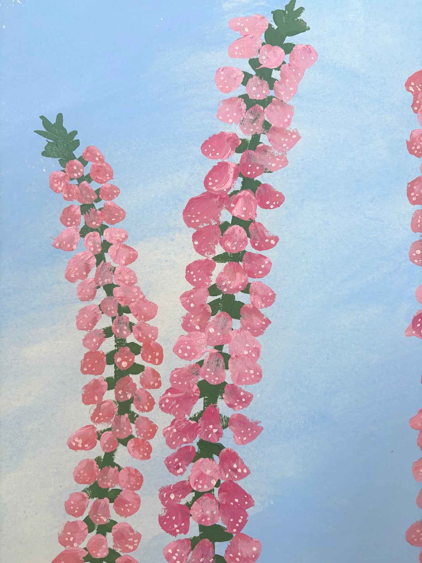 Pink Foxgloves.