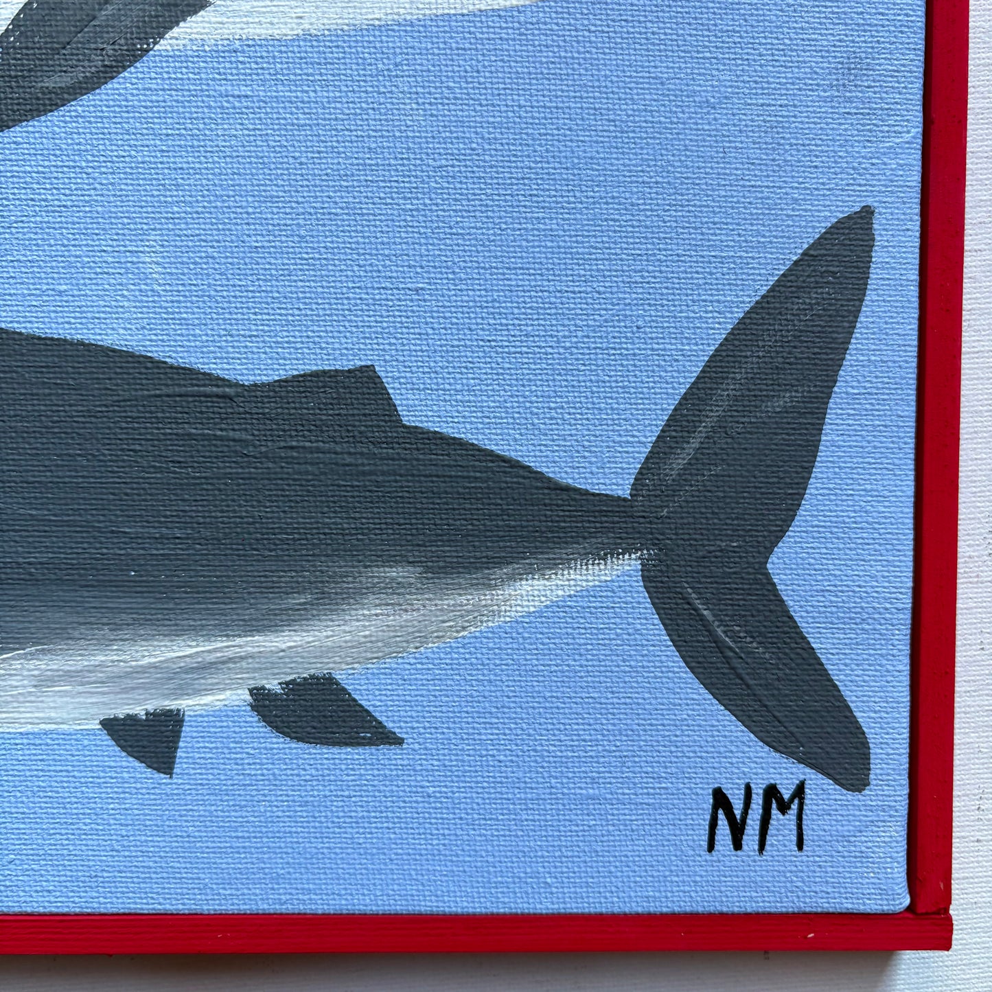 Two sharks.