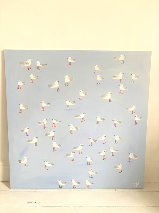 A squabble of seagulls