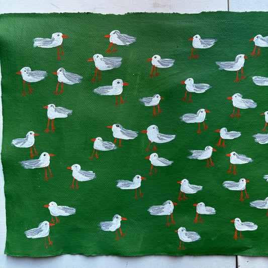 Seagulls on green.