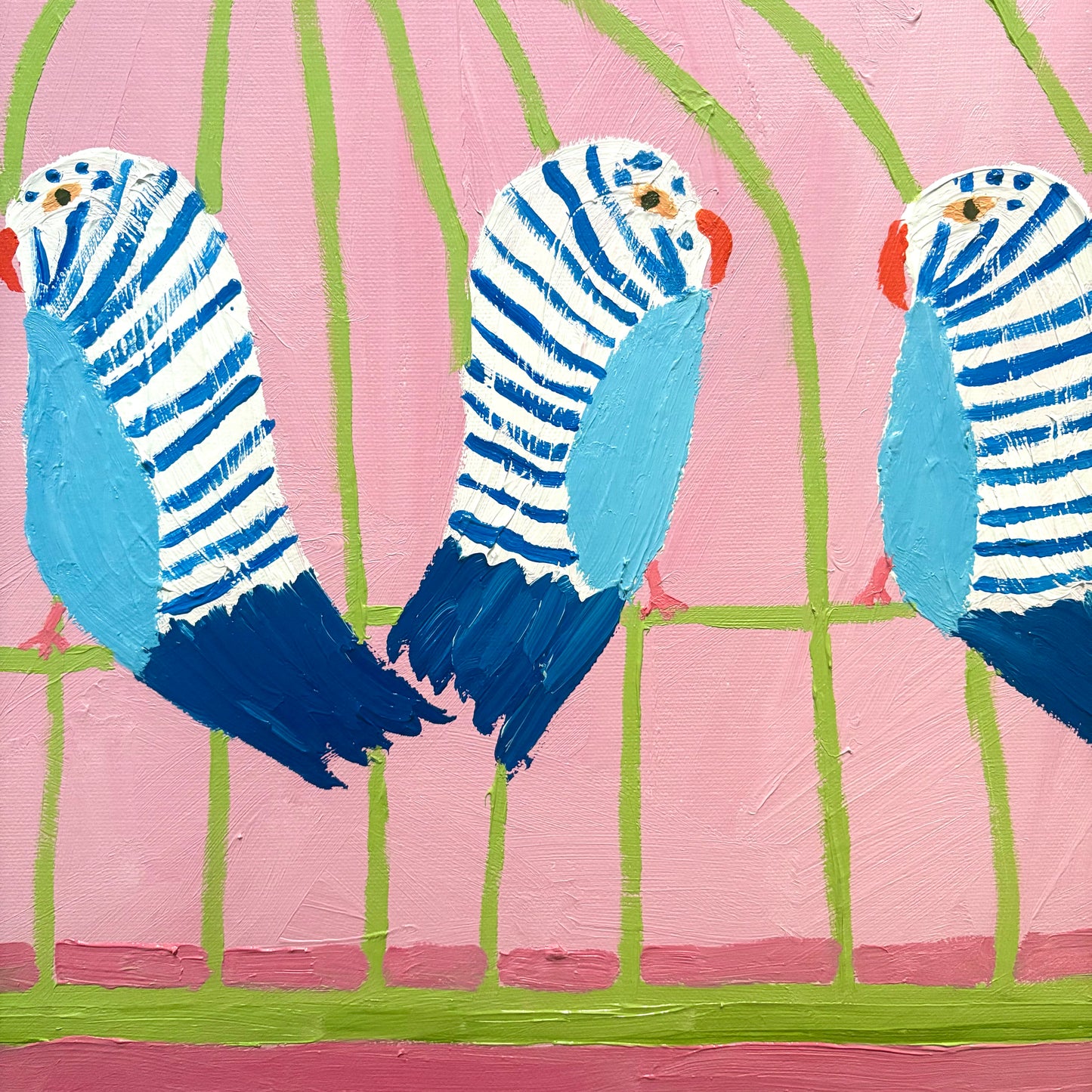 Four budgies.