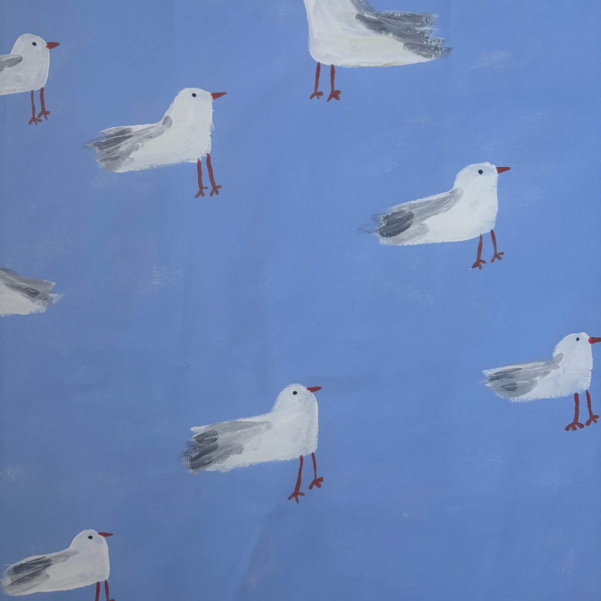 Seagulls by the sea.