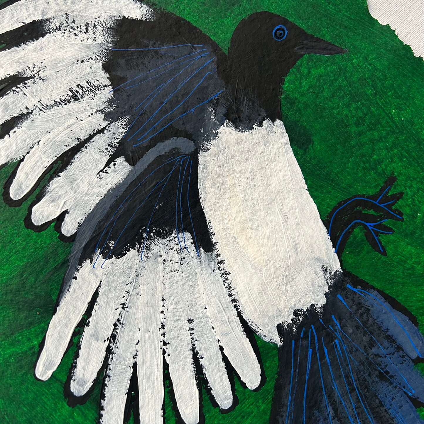 Magpie on green