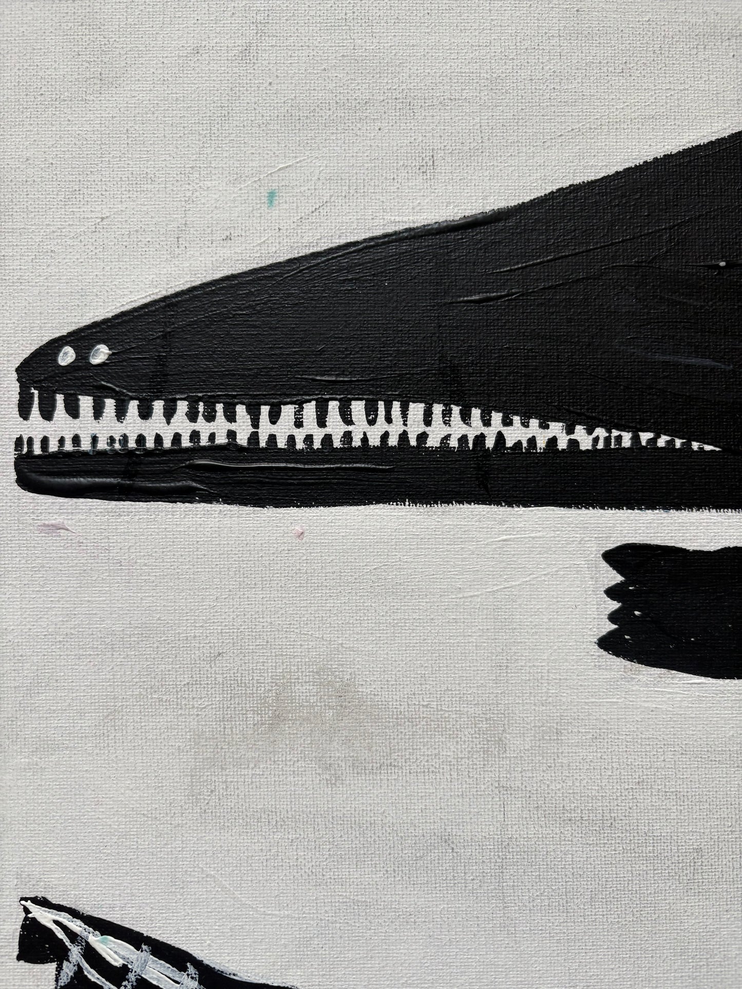 Black crocodile.