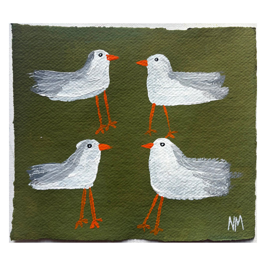 Seagulls 8.