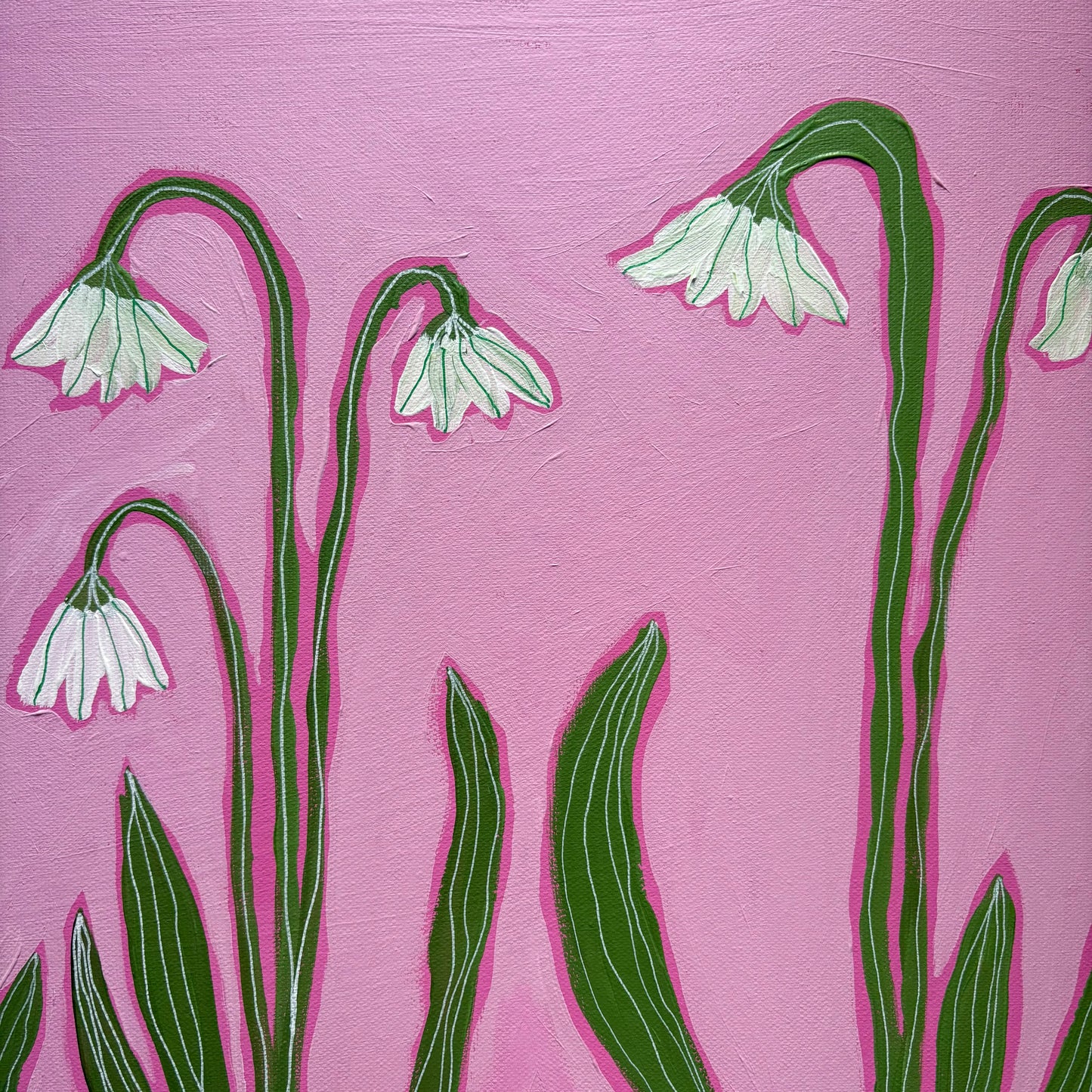 Snowdrops on pink.