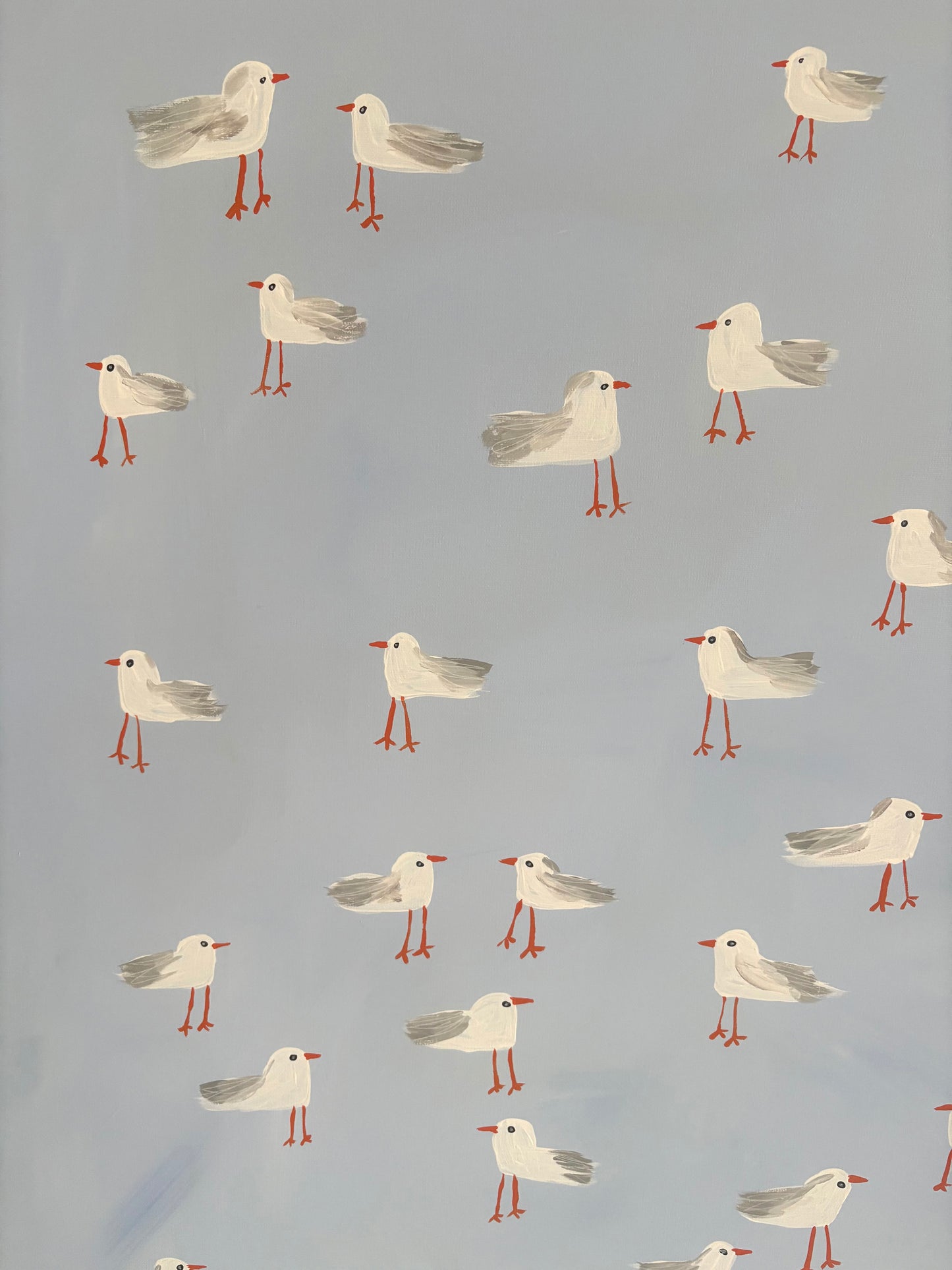 A squabble of seagulls