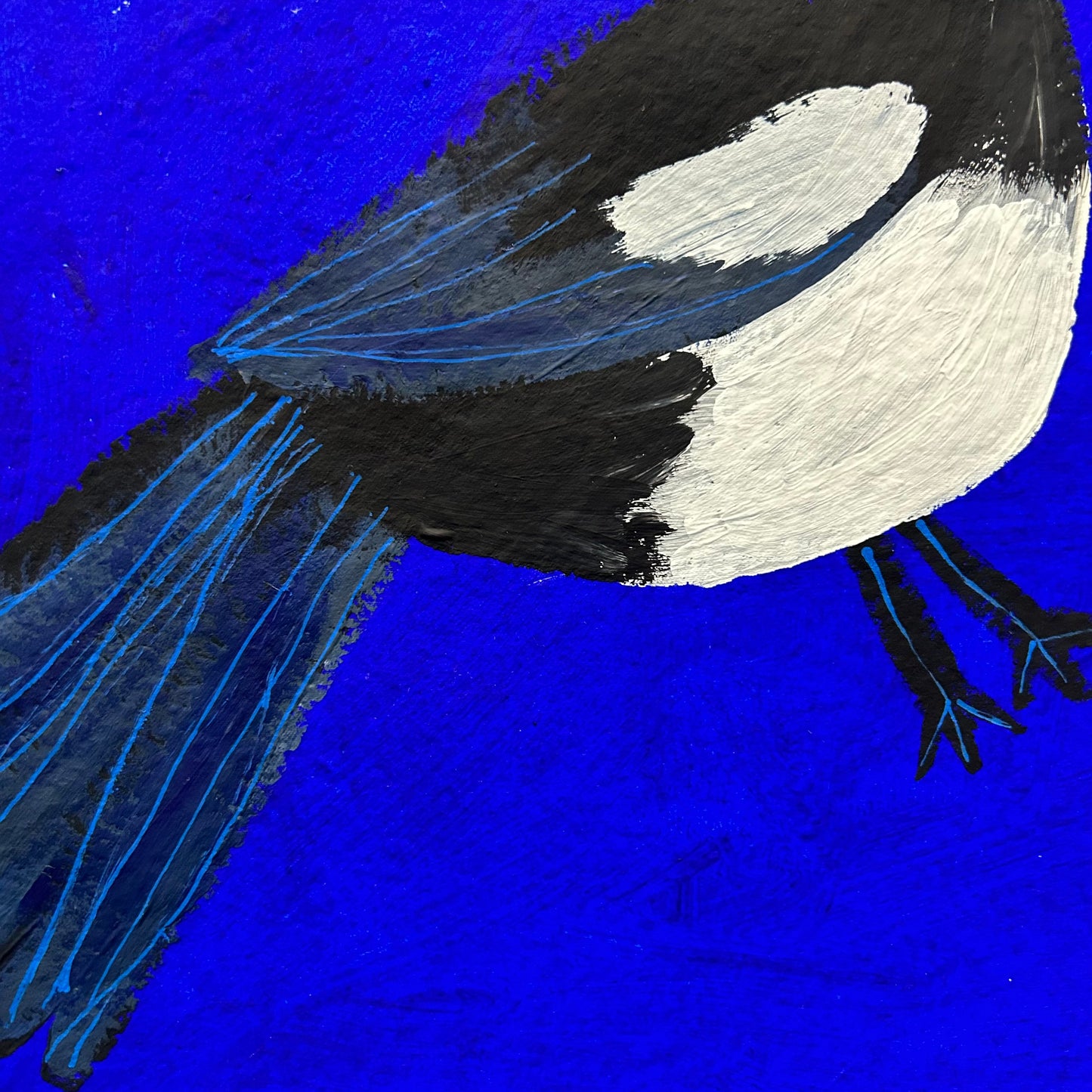 Magpies on blue