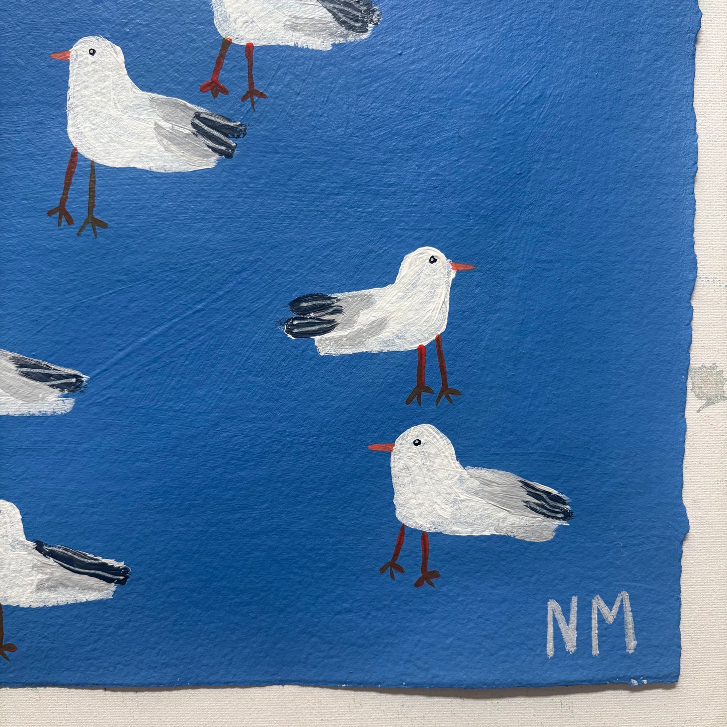 Seagull friends.