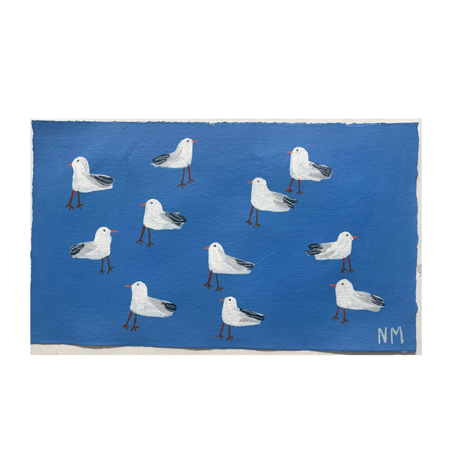 Seagull friends.