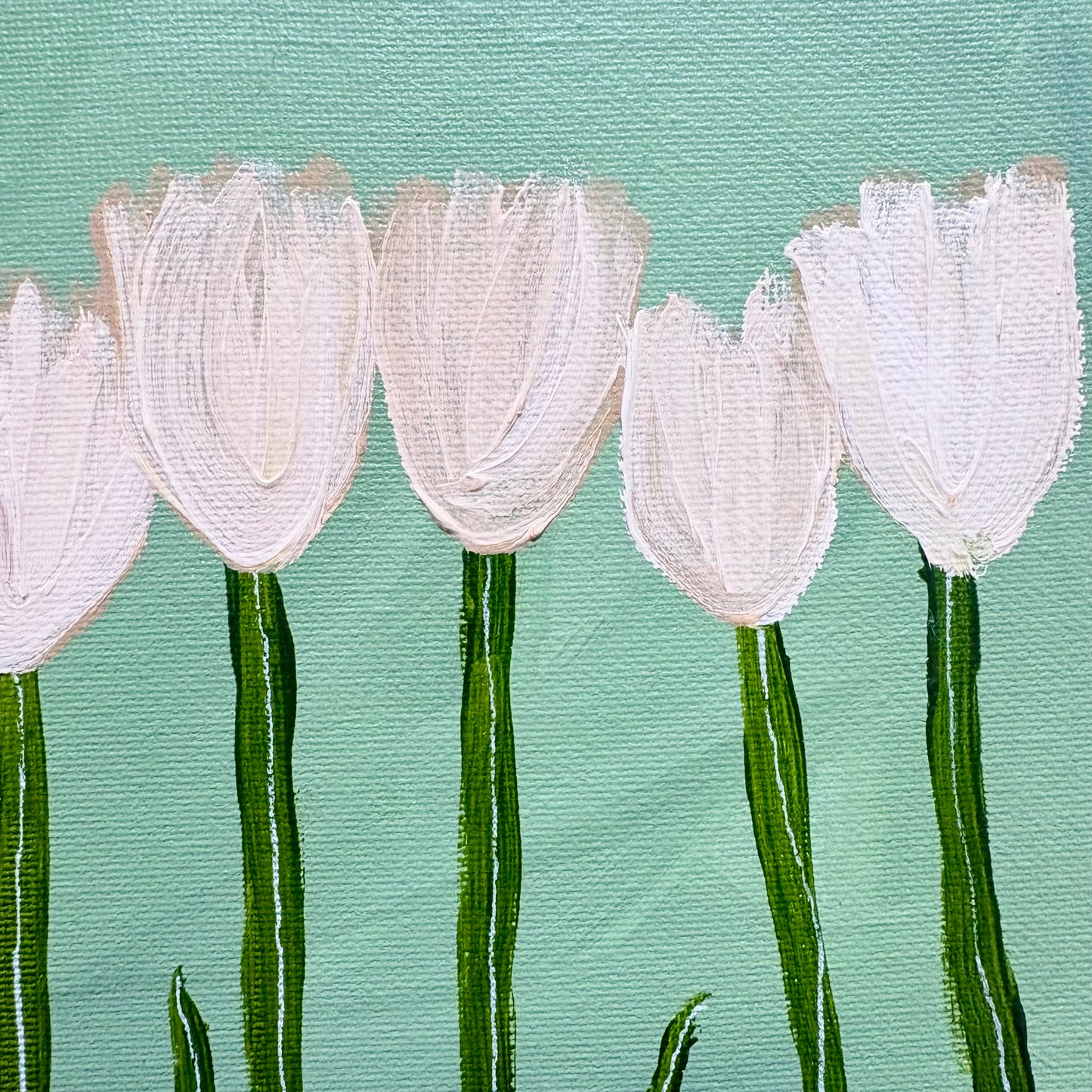 White tulips.
