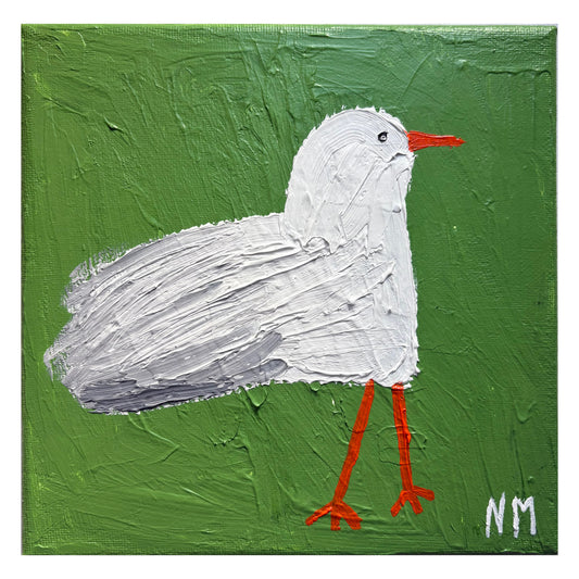 Seagull.
