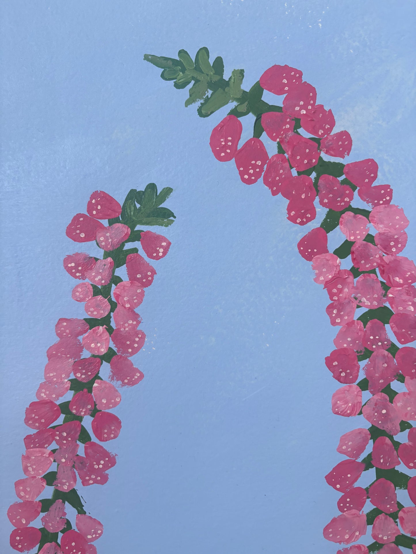 Pink Foxgloves.