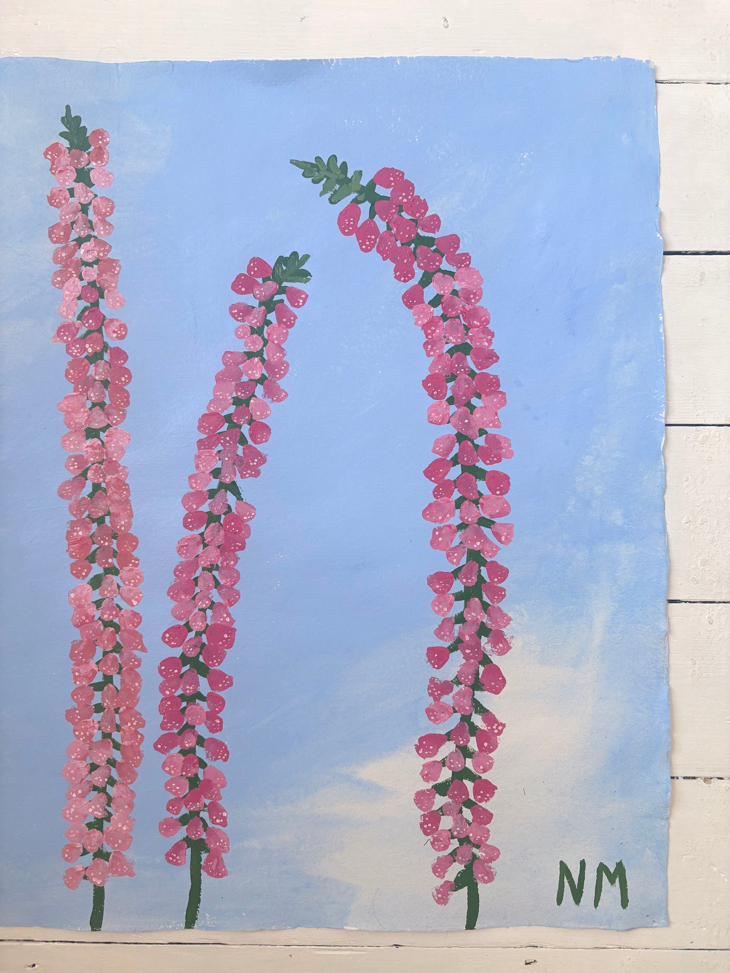 Pink Foxgloves.