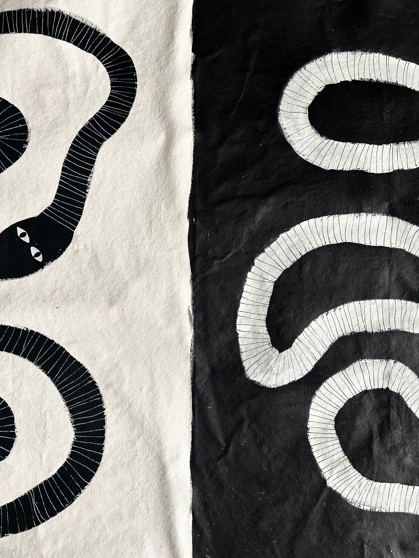 Black and white snakes