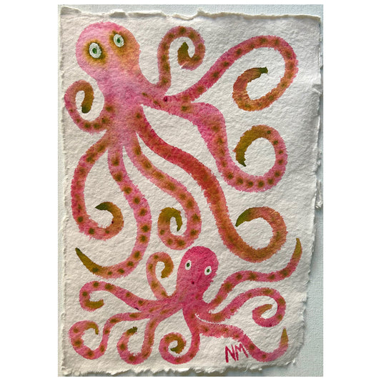 Mummy octopus